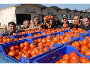 Bakan Yardımcısı Sayandan Mavi Balina oyunu uyarısı 65