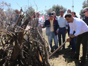 Başkan Günel, Nevruz kutlamalarına katıldı