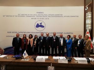 AK Parti Giresun Milletvekili Cemal Öztürk Gürcistan’da Kamu Denetçiliği Kurumu’nun önemini anlattı