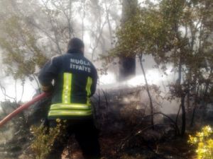 Yangına itfaiyeden zamanında müdahale