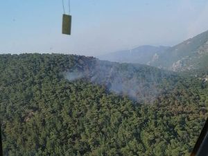 Milas’taki orman yangını kontrol altına alındı