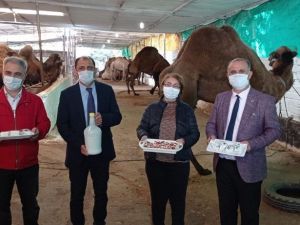 Başkan Kaya, deve sütü ürünlerini tanıttı