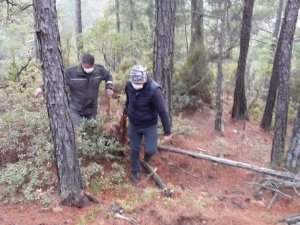 Kaçak avcılar suçüstü yakalandı