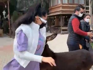 Zeynep Öztürk’ün sıpayla imtihanı
