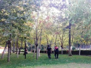 Aydın polisi teyakkuza geçti