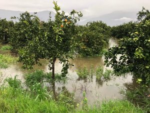 Köyceğiz’de aşırı yağışların meydana getirdiği zararlarla ilgili ön inceleme başlatıldı