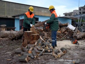Kuşadası’nda ağaç atıkları ihtiyaç sahipleri için kara kışta yakacağa dönüşüyor