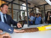 TMO’dan çekirdeksiz kuru üzüm alımı