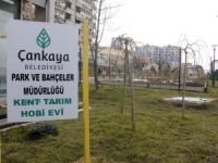 Kent Tarım Hobi Evinde yeni dönem 4 Ekim’de başlıyor