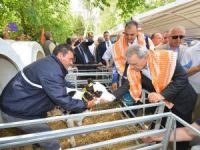 İzmir tarımda şaha kalktı