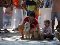 Marmaris’te köpek güzellik yarışması yapıldı