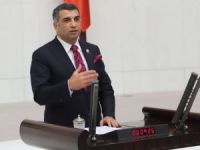 Milletvekili Erol;" Devlet gelenekleriyle oynamamalıyız"