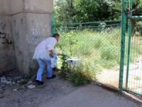 Viyadükten atladı, beton zemine çakıldı