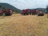 Muğla’da orman ekipleri yangından yangına koşuyor