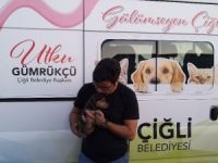 Yavru köpek 5 metre derinlikten kurtarıldı