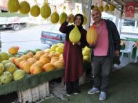 Kavunun ömrü özel file ile uzuyor
