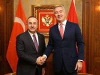 Dışişleri Bakanı Çavuşoğlu, Karadağ Cumhurbaşkanı Cukanoviç ile görüştü