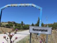 Narıncalı Pıtrak Mahallesiyle ilgili yeni kararlar