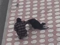 Batman’da üşüyen köpeğin üzerine montunu örttü