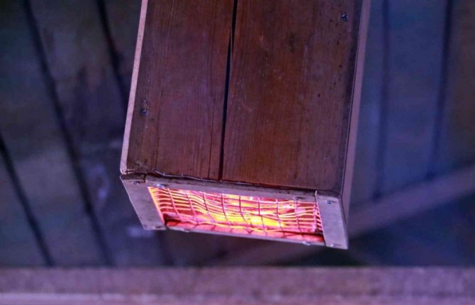 Karla tanışan Antalya Hayvanat Bahçesi’ndeki tropik hayvanlara sıcacık