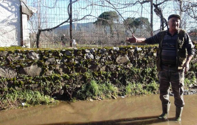 Burası ne deniz, ne göl, tütün tarlası