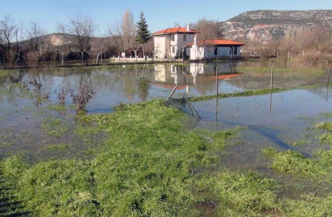 Burası ne deniz, ne göl, tütün tarlası
