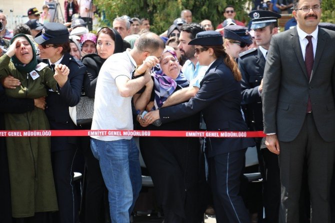 Harun Şahin Harun Şahin