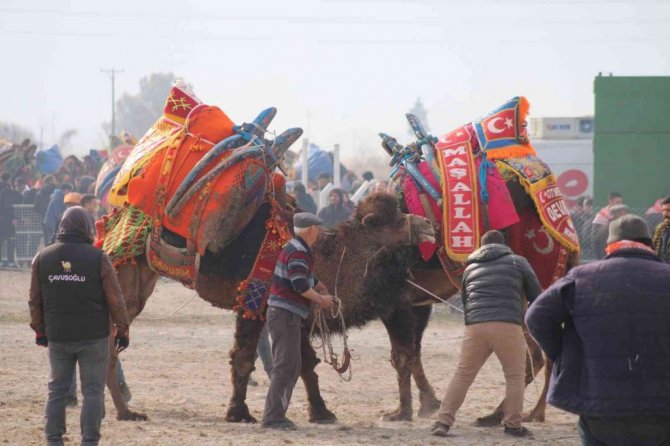 Efeler’de develer kıran kırana mücadele etti