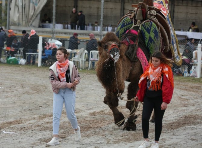 Efeler’de develer kıran kırana mücadele etti