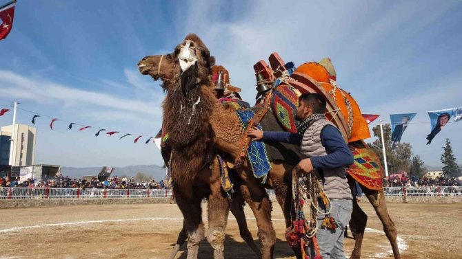 Nazilli’de 180 pehlivan devenin güreşini 20 bin vatandaş izledi