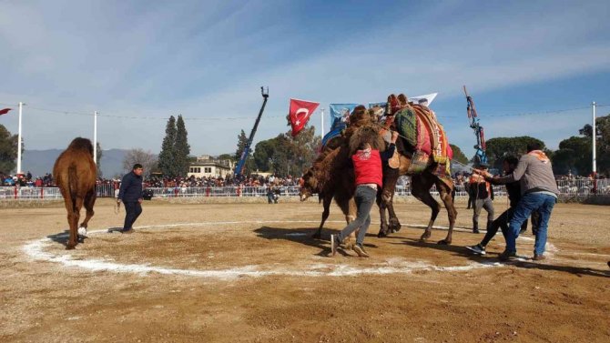 Nazilli’de 180 pehlivan devenin güreşini 20 bin vatandaş izledi