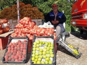 Ödemiş’te Sezonun İlk İnciri Çıktı