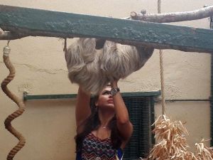 Hayvan Dostu Tuna Güzelyurt’a Tembel Hayvan Saldırdı