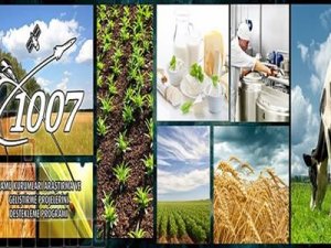 Kalite Kurulu Yönetmeliği Ve TÜBİTAK Kamag 1007 Programı Kapsamında 3 Adet Proje Çağrısı