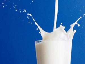 Süt Fiyatlarına ESK Müdahale Etmeli
