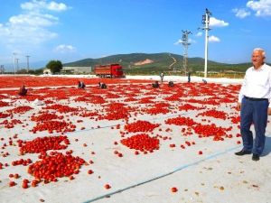 İşsiz Gençler Bu İlçeye Koşuyor