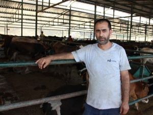 Terör Olayları Batıdaki Hayvan Pazarlarını Etkiledi