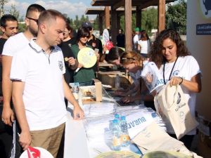 2. Büyük Lenfoma Yürüyüşü