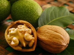Saç Dökülmesine Çözüm Ceviz Kabuğu Kürü