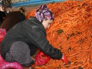 Aralık Ayında Havuç Ucuzladı, Kabak Tavan Yaptı