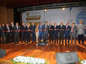 Anadolu EXPO 2. Canlı Hayvan Fuarı Kuşadası’nda Başladı