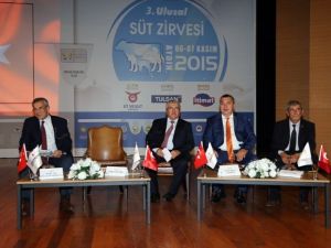 Sütte Hakem Belli Oldu