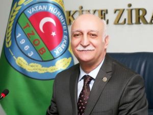 Muz Üretimi Yeni Bir Rekora Koşuyor