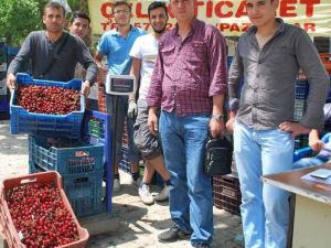 Organik Kiraz Üreticinin Yüzünü Güldürdü