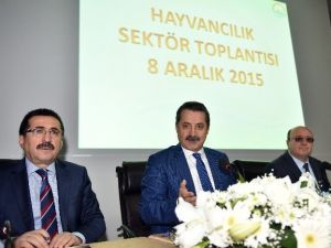 Bakan Çelik, Hayvancılık Sektör Temsilcileriyle Bir Araya Geldi
