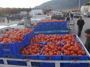 Rusya Almasa Da Domates Fethiye’de Toptan 3 TL