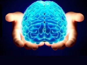 "Sınavlara, Hafıza Teknikleri İle Hazırlanan Öğrenciler Daha Başarılı"