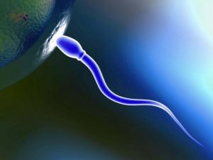 Ciddi Sperm Problemi Olan Hastalara Umut