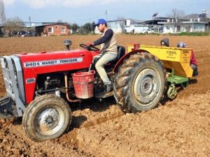 Sıcak Hava Patates Üreticisinin Yüzünü Güldürdü