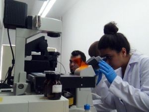 SDÜ’de Üretilen Nanomotorlarla Kanser Tedavi Edilecek